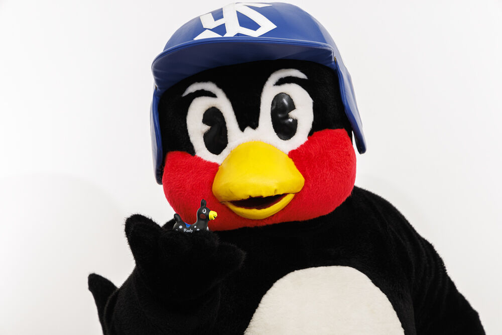Rody - Rody Mascot - Rody X Swallows - Swallows (Wizard Inc.)