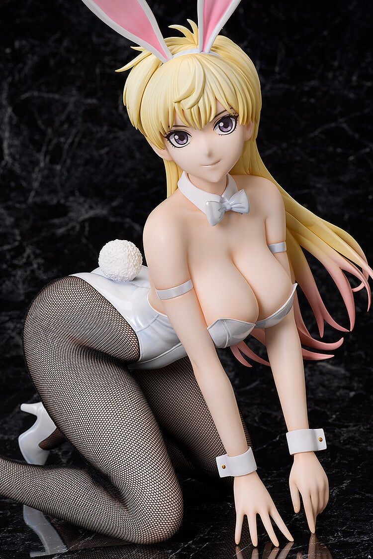 Bastard!! Ankoku no Hakaishin - Shiin-Hari - B-style - 1/4 - Bunny Ver. (FREEing) photo 4
