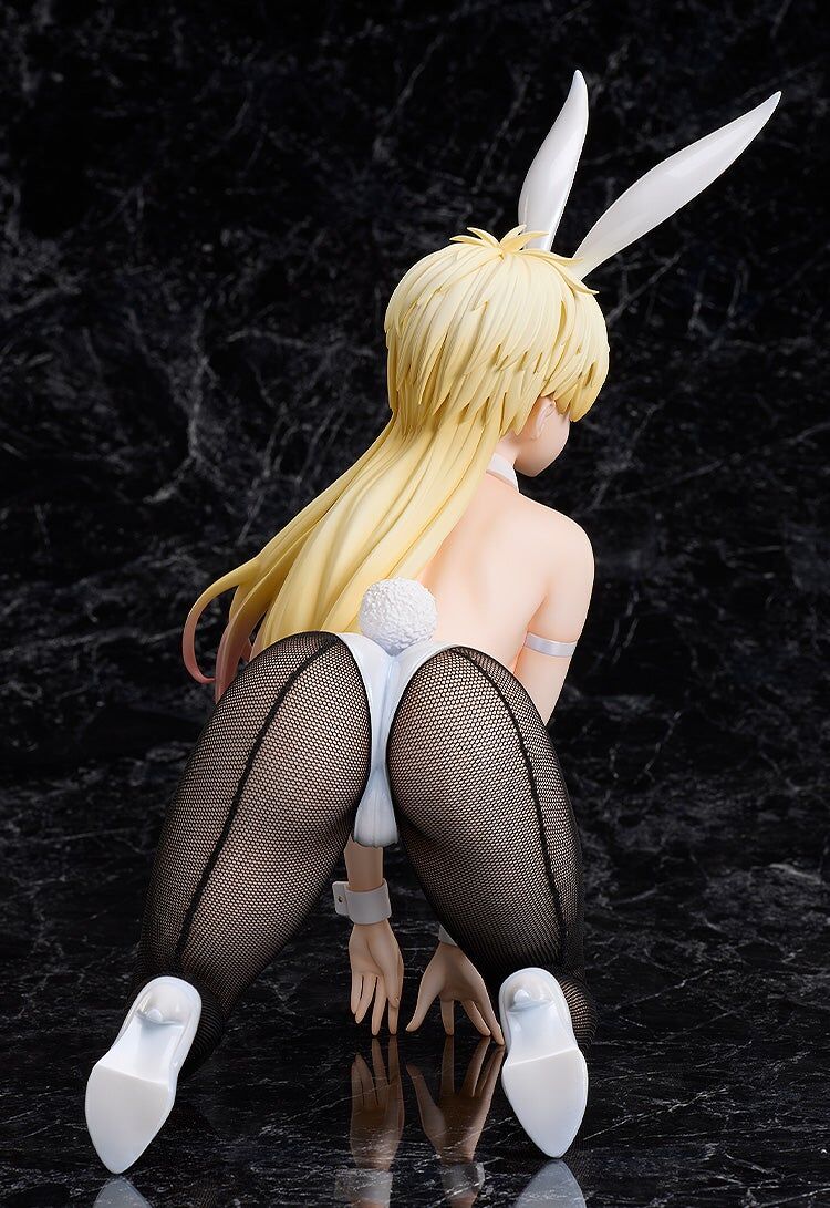 Bastard!! Ankoku no Hakaishin - Shiin-Hari - B-style - 1/4 - Bunny Ver. (FREEing) photo 6