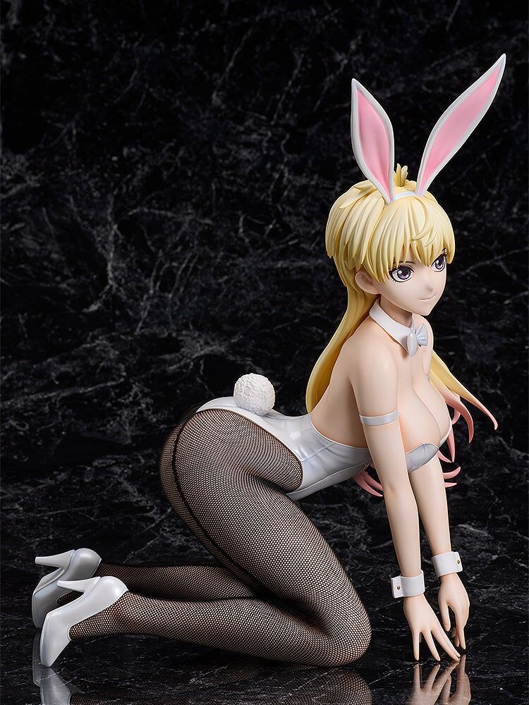 Bastard!! Ankoku no Hakaishin - Shiin-Hari - B-style - 1/4 - Bunny Ver. (FREEing) photo 8