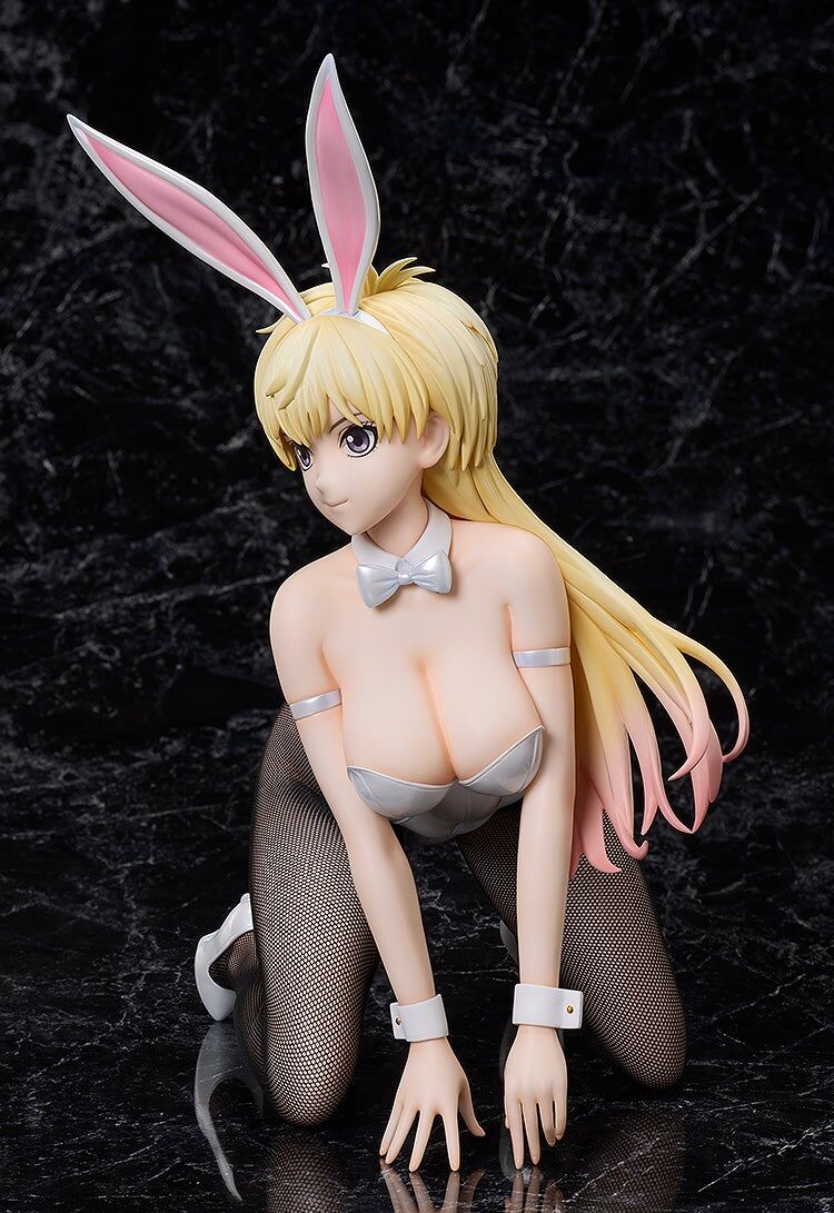 Bastard!! Ankoku no Hakaishin - Shiin-Hari - B-style - 1/4 - Bunny Ver. (FREEing) photo 9