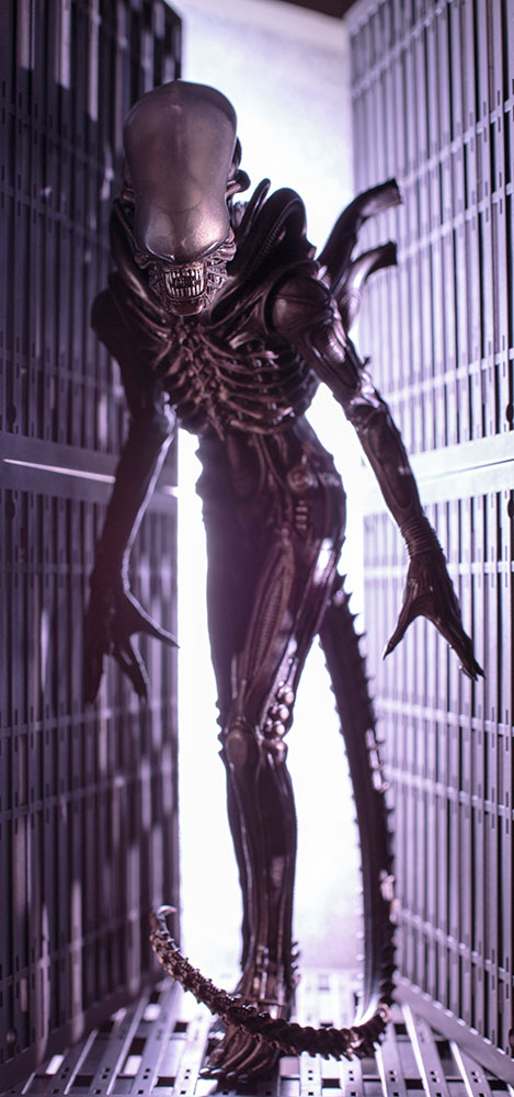 Alien - ARTFX+ - 1/10 (Kotobukiya) photo 2