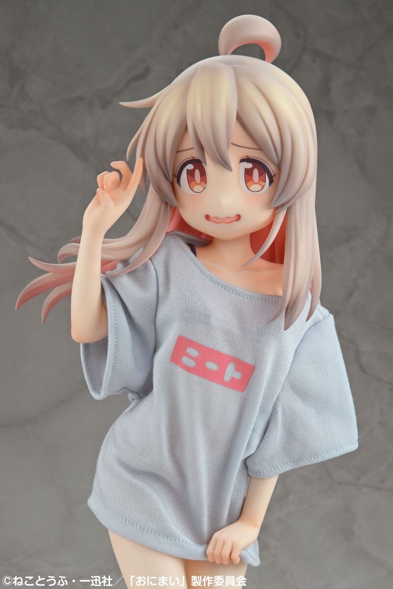Onii-chan wa Oshimai! - Oyama Mahiro - 1/4 - NEET T-Shirt ~Otona na Shitagi ni Chousen!~ (Medicos Entertainment) photo 13