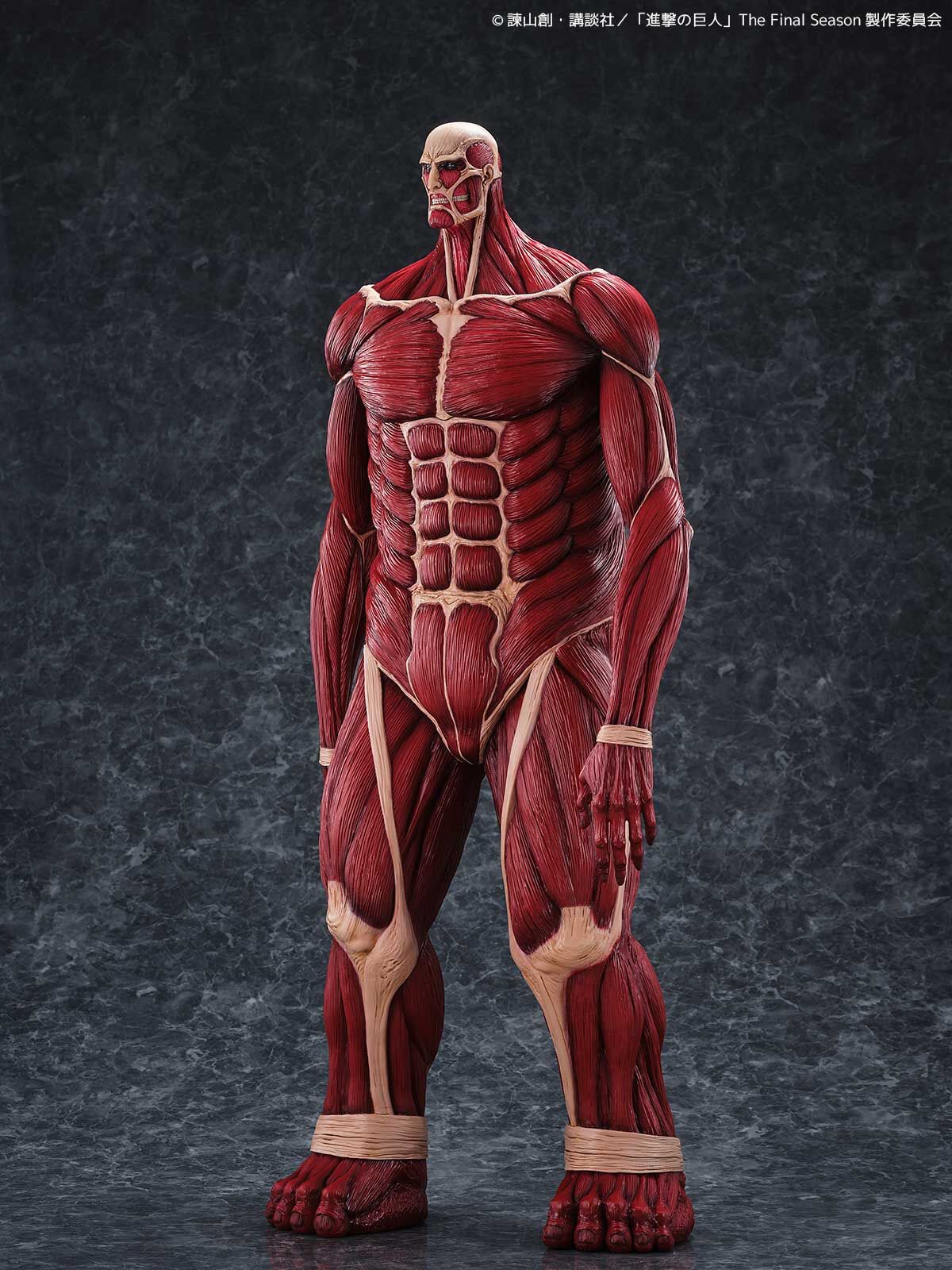 Shingeki no Kyojin - Chou-ougata Kyojin - Mega Sofvi (Kaiyodo) photo 2