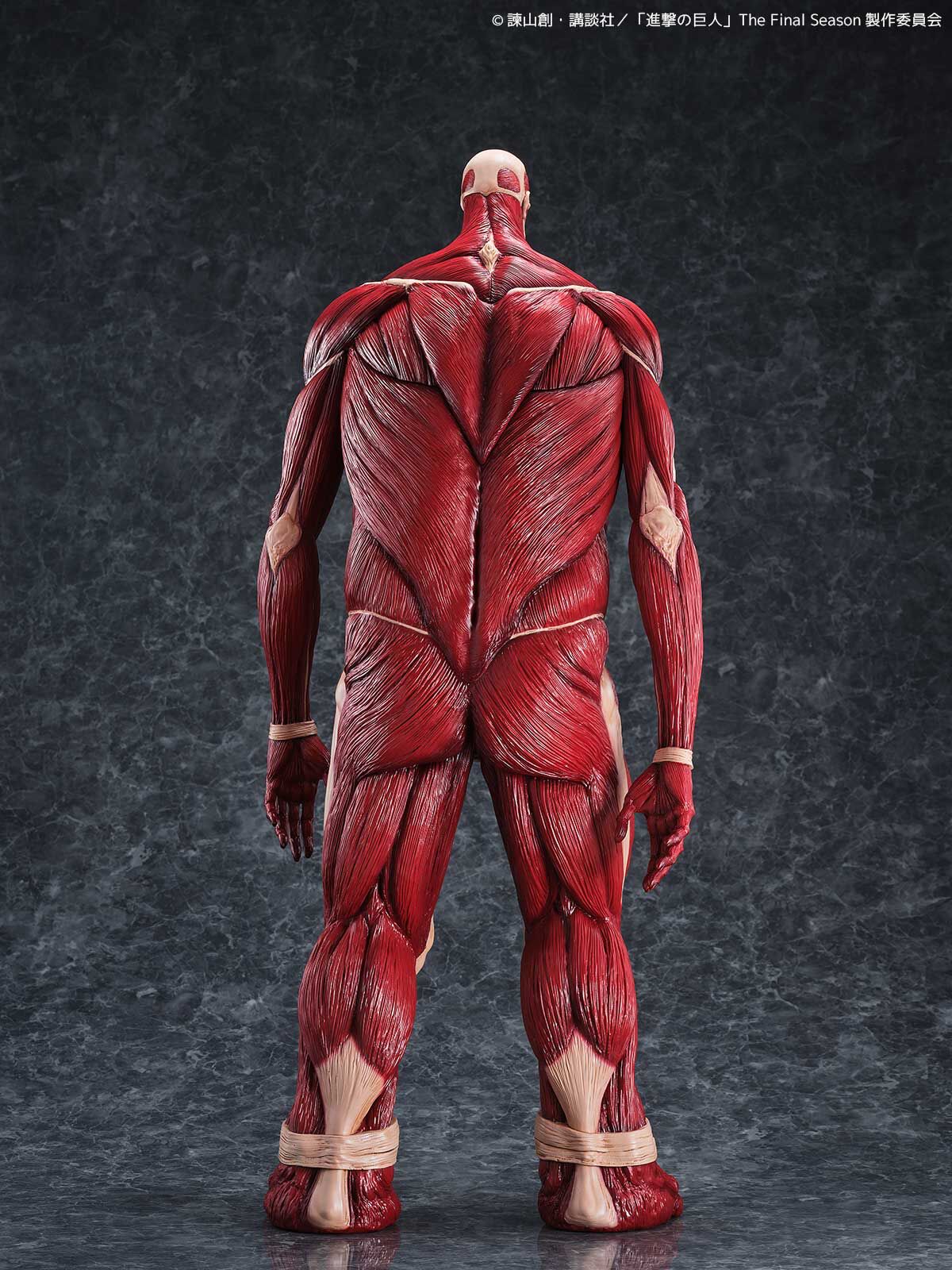 Shingeki no Kyojin - Chou-ougata Kyojin - Mega Sofvi (Kaiyodo) photo 3