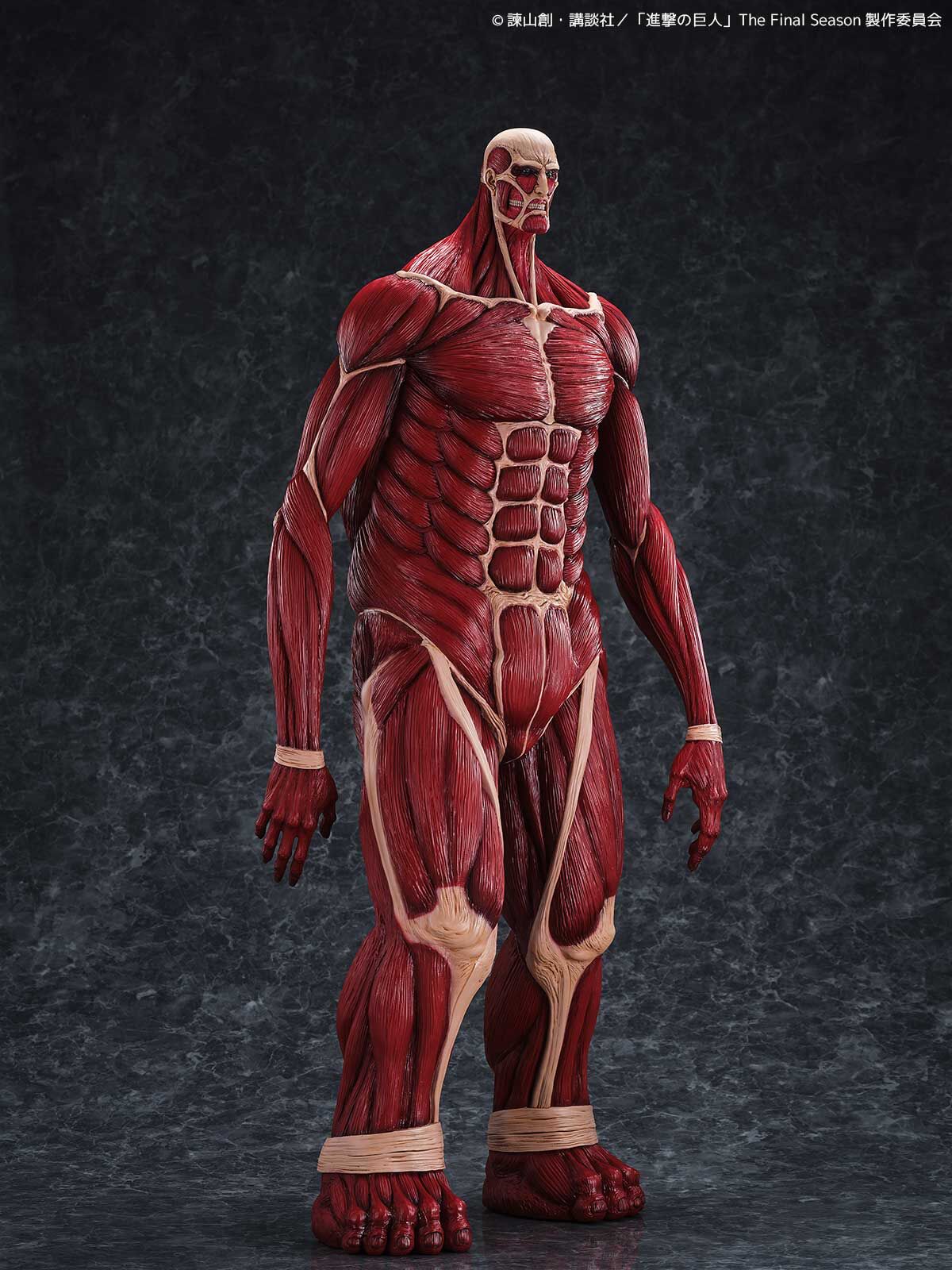 Shingeki no Kyojin - Chou-ougata Kyojin - Mega Sofvi (Kaiyodo) photo 5