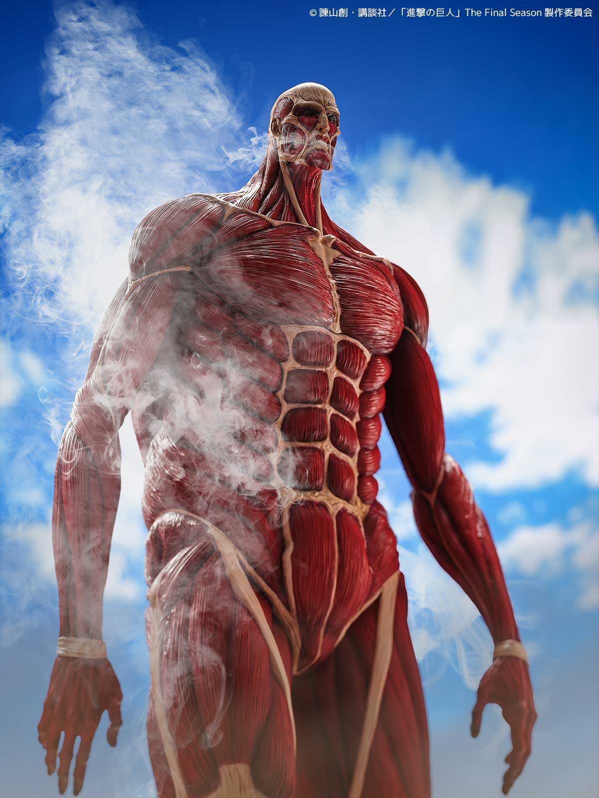 Shingeki no Kyojin - Chou-ougata Kyojin - Mega Sofvi (Kaiyodo) photo 10