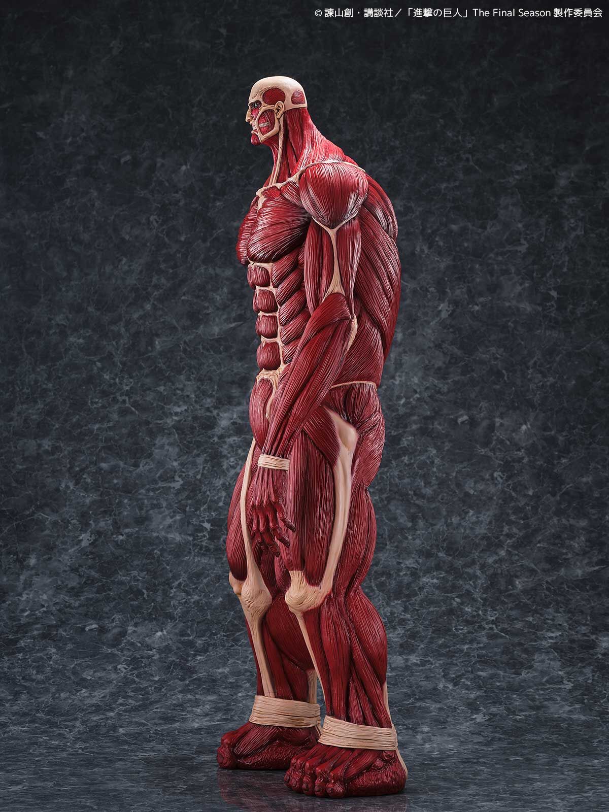 Shingeki no Kyojin - Chou-ougata Kyojin - Mega Sofvi (Kaiyodo) photo 11