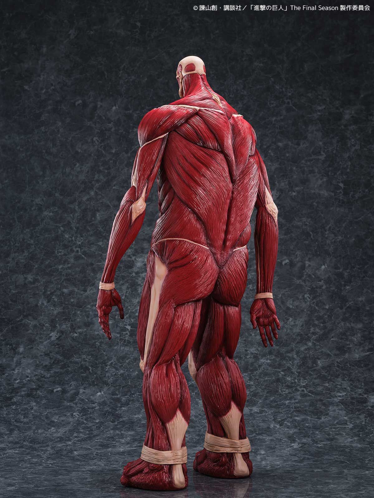 Shingeki no Kyojin - Chou-ougata Kyojin - Mega Sofvi (Kaiyodo) photo 12