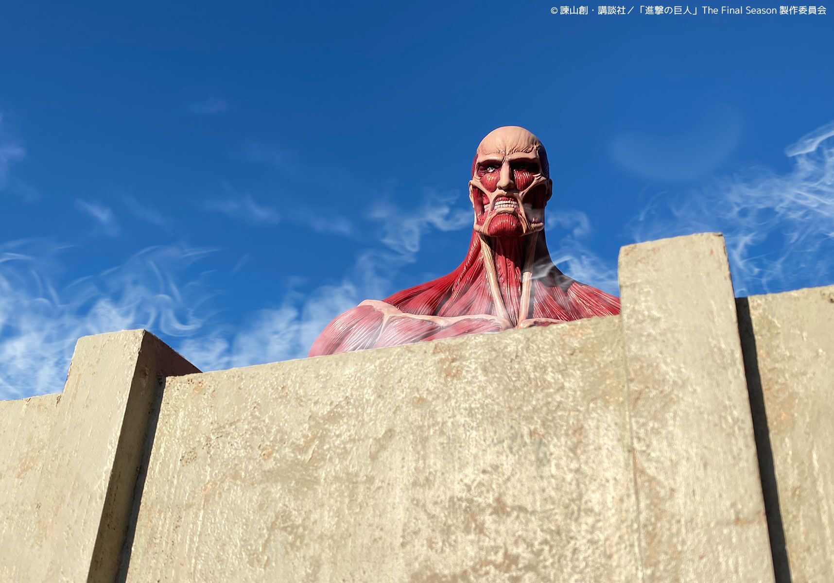 Shingeki no Kyojin - Chou-ougata Kyojin - Mega Sofvi (Kaiyodo) photo 13