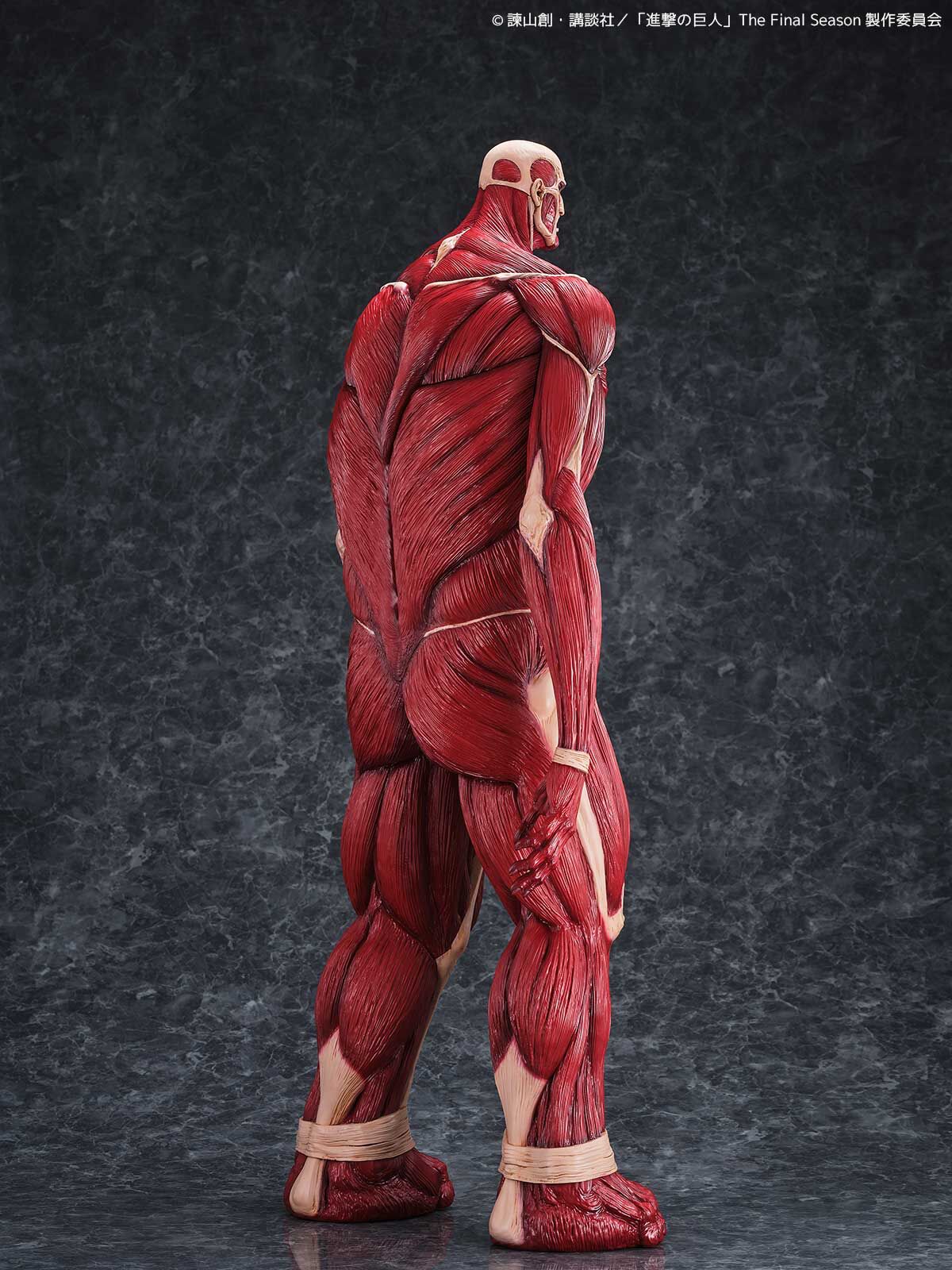 Shingeki no Kyojin - Chou-ougata Kyojin - Mega Sofvi (Kaiyodo) photo 14