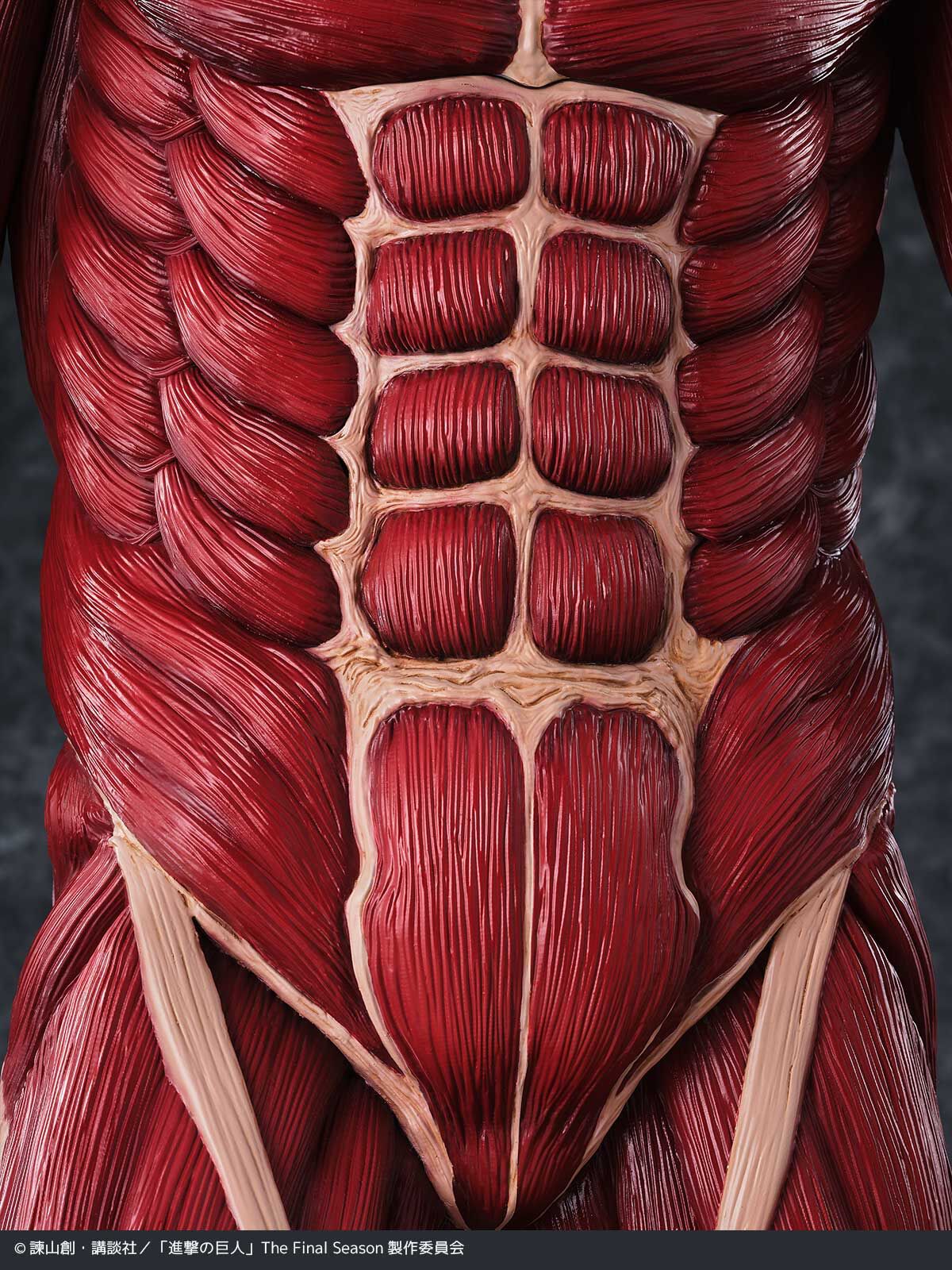 Shingeki no Kyojin - Chou-ougata Kyojin - Mega Sofvi (Kaiyodo) photo 17