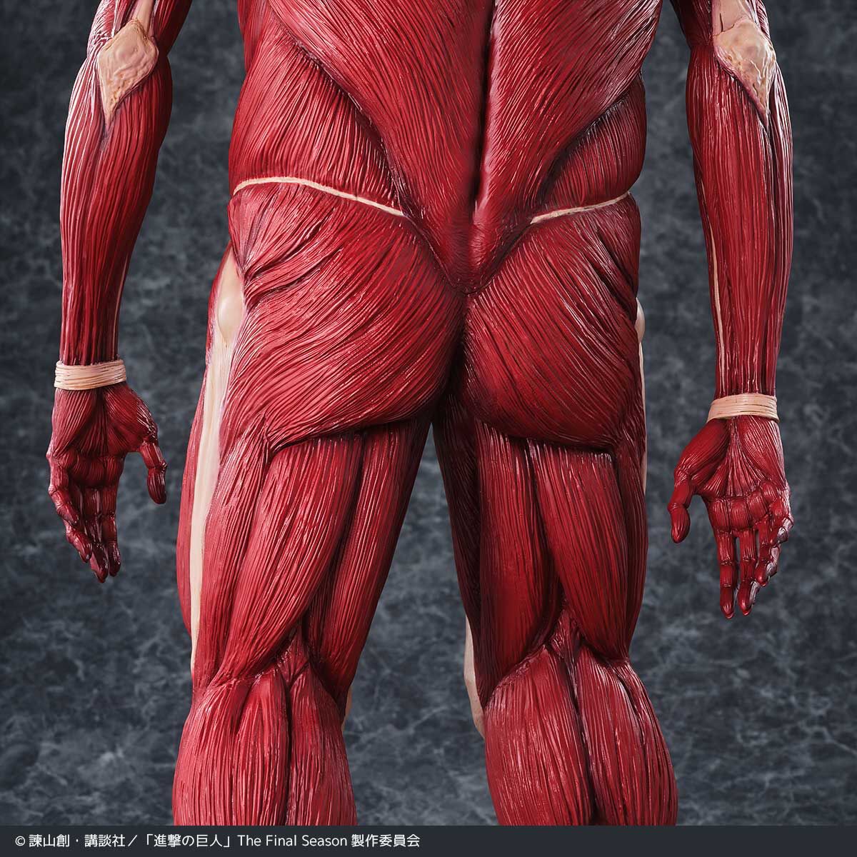 Shingeki no Kyojin - Chou-ougata Kyojin - Mega Sofvi (Kaiyodo) photo 18