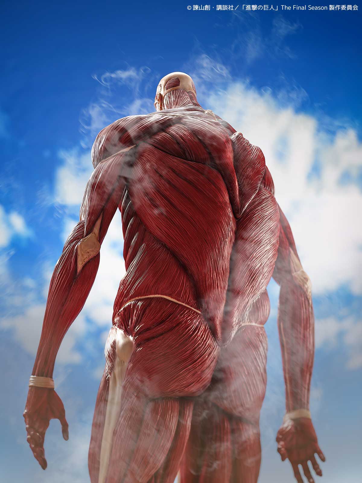 Shingeki no Kyojin - Chou-ougata Kyojin - Mega Sofvi (Kaiyodo) photo 21