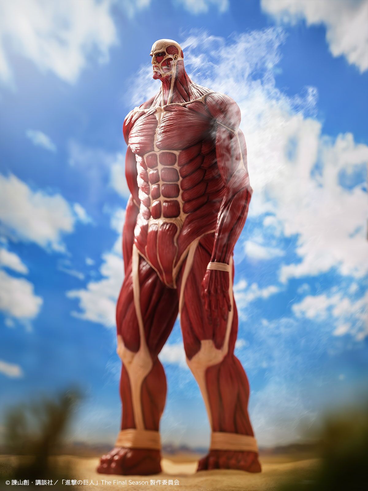 Shingeki no Kyojin - Chou-ougata Kyojin - Mega Sofvi (Kaiyodo) photo 26