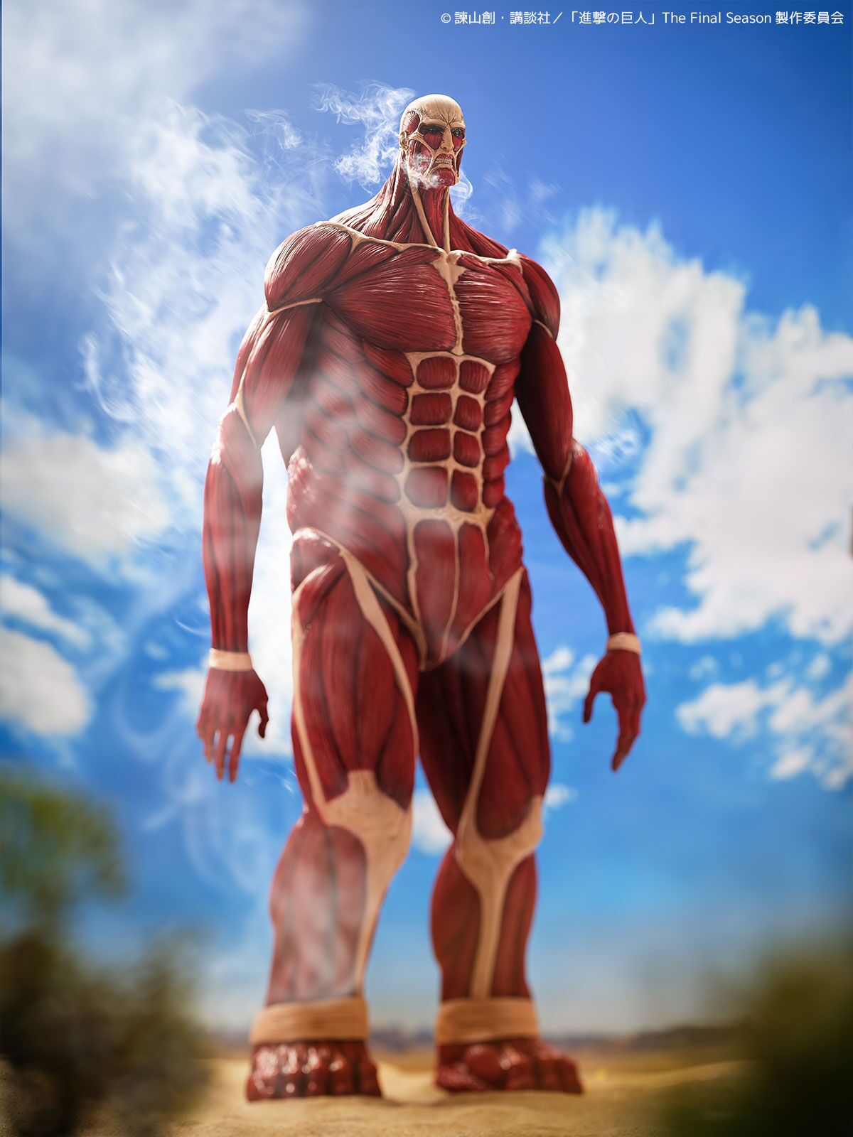Shingeki no Kyojin - Chou-ougata Kyojin - Mega Sofvi (Kaiyodo) photo 27