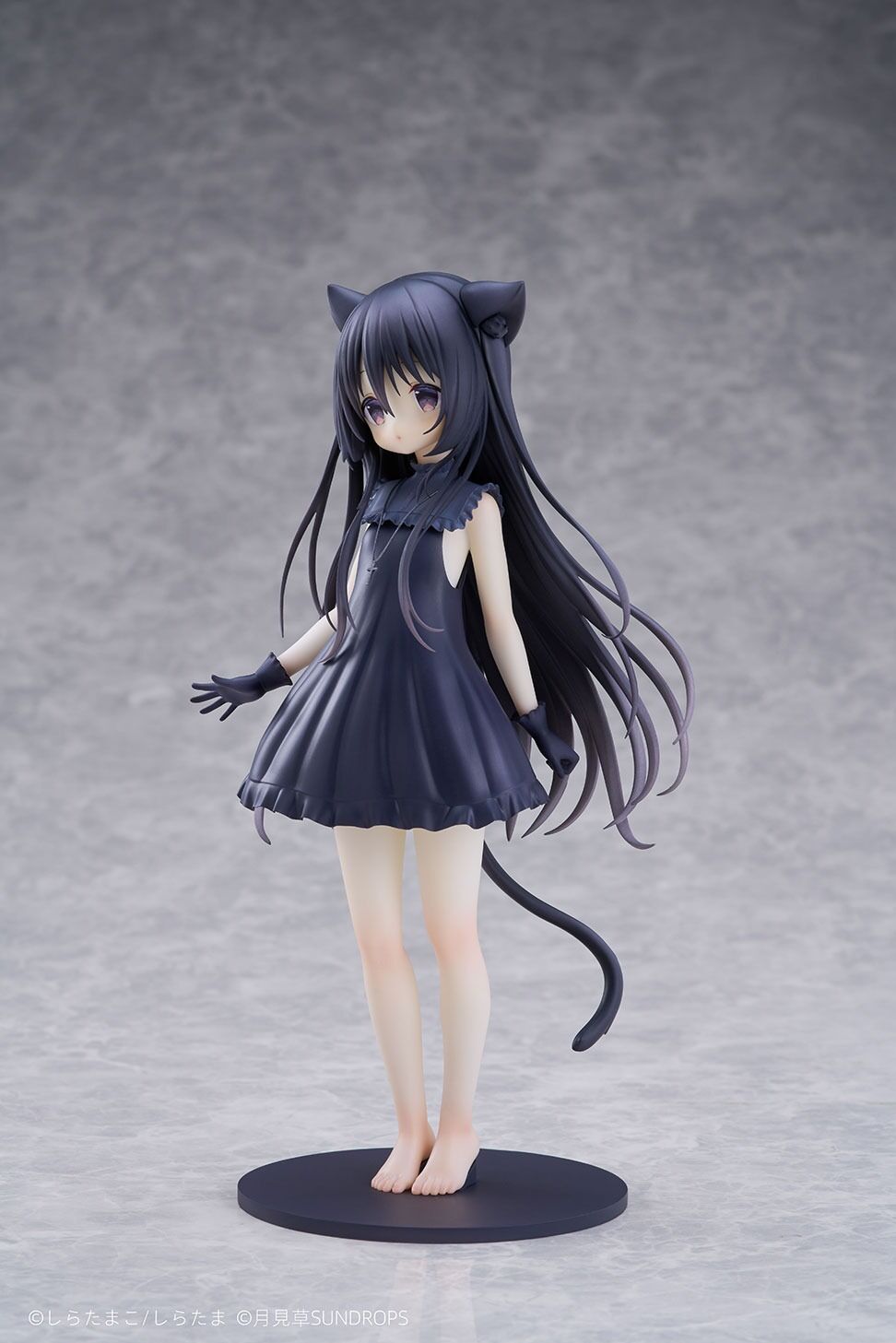 Hoshizora Tetsudou to Shiro no Tabi - Noir - 1/7 (Sundrops, Tokyo Figure) photo 2