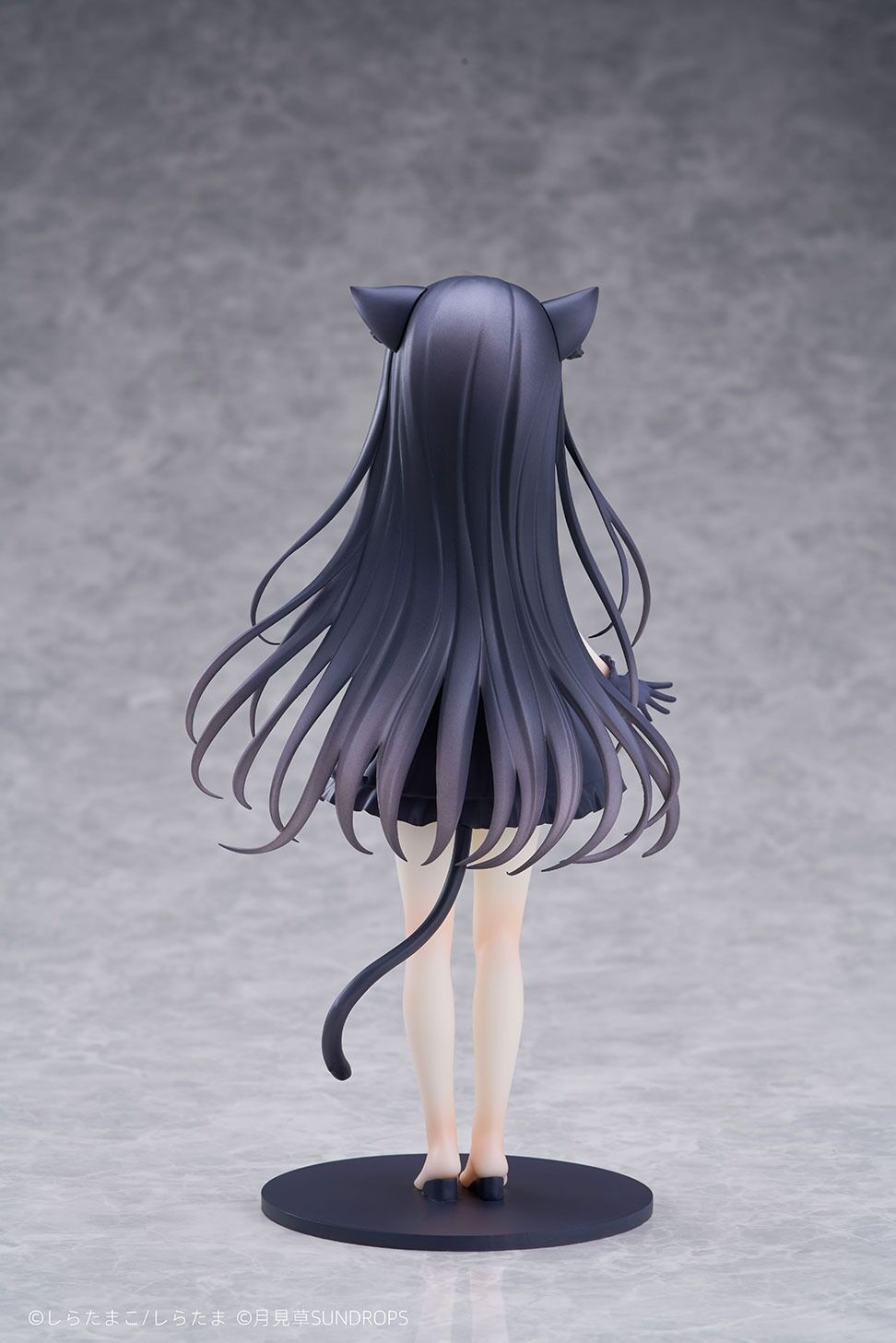 Hoshizora Tetsudou to Shiro no Tabi - Noir - 1/7 (Sundrops, Tokyo Figure) photo 3