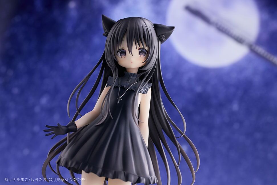 Hoshizora Tetsudou to Shiro no Tabi - Noir - 1/7 (Sundrops, Tokyo Figure) photo 9