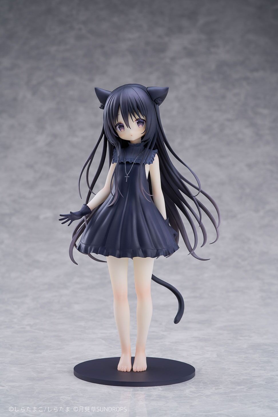 Hoshizora Tetsudou to Shiro no Tabi - Noir - 1/7 (Sundrops, Tokyo Figure) photo 11