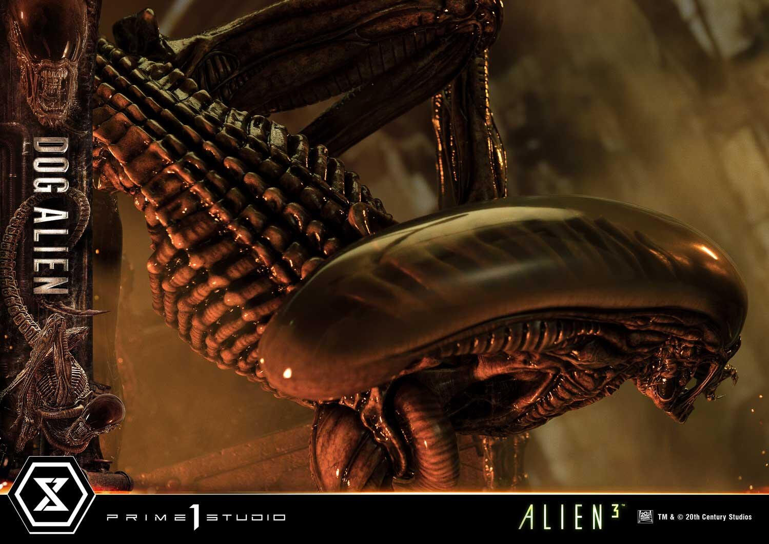 Alien 3 - Dog Alien - Museum Masterline XL  (MMXLAL-01DX) - 1/3 - DX Version (Prime 1 Studio) photo 13