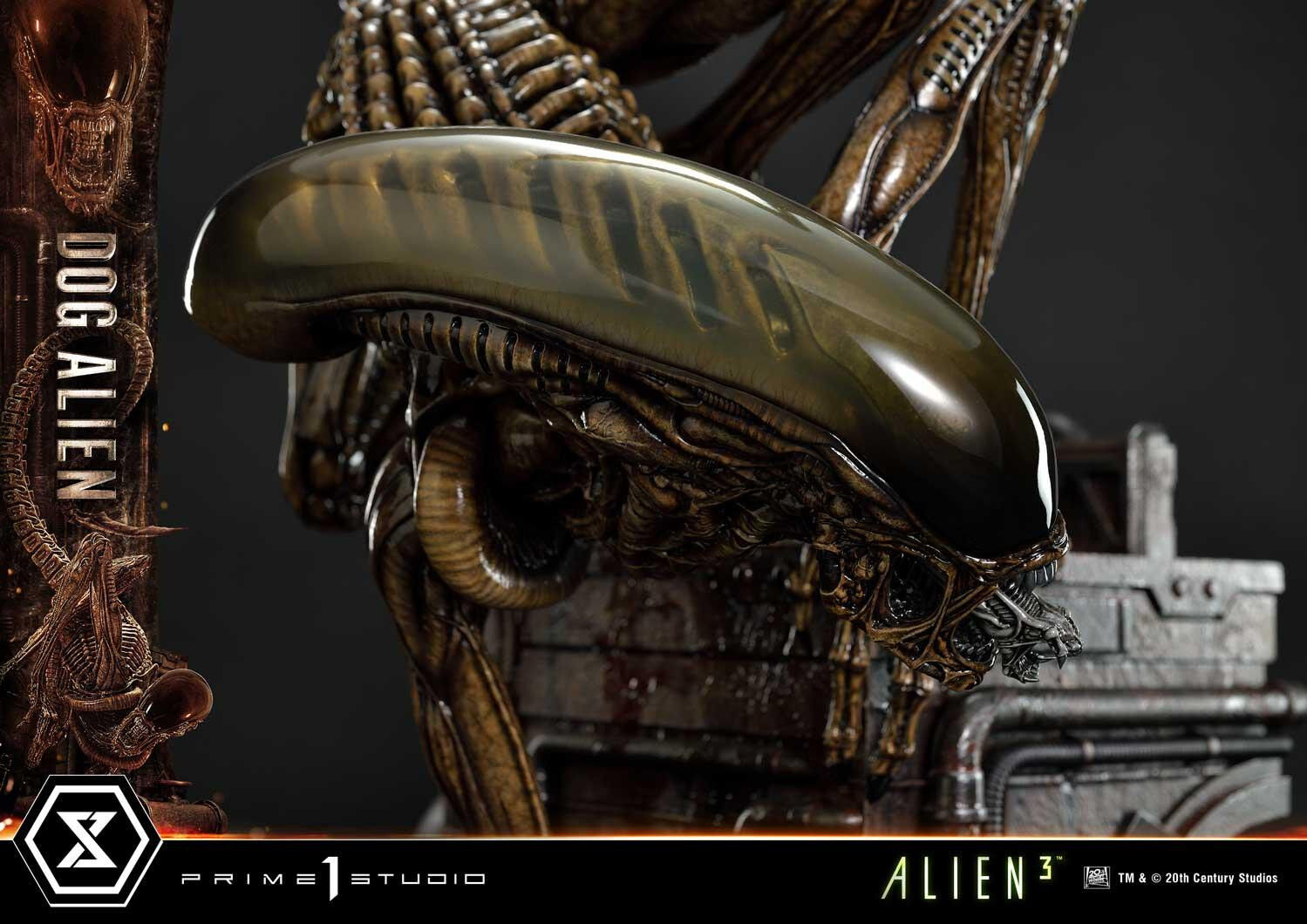 Alien 3 - Dog Alien - Museum Masterline XL  (MMXLAL-01DX) - 1/3 - DX Version (Prime 1 Studio) photo 18