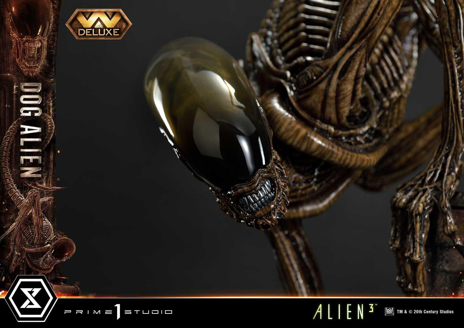 Alien 3 - Dog Alien - Museum Masterline XL  (MMXLAL-01DX) - 1/3 - DX Version (Prime 1 Studio) photo 23