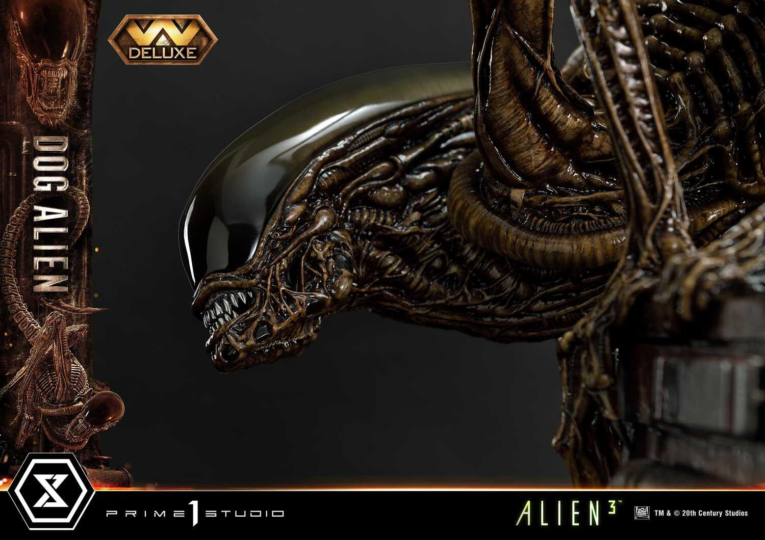 Alien 3 - Dog Alien - Museum Masterline XL  (MMXLAL-01DX) - 1/3 - DX Version (Prime 1 Studio) photo 29
