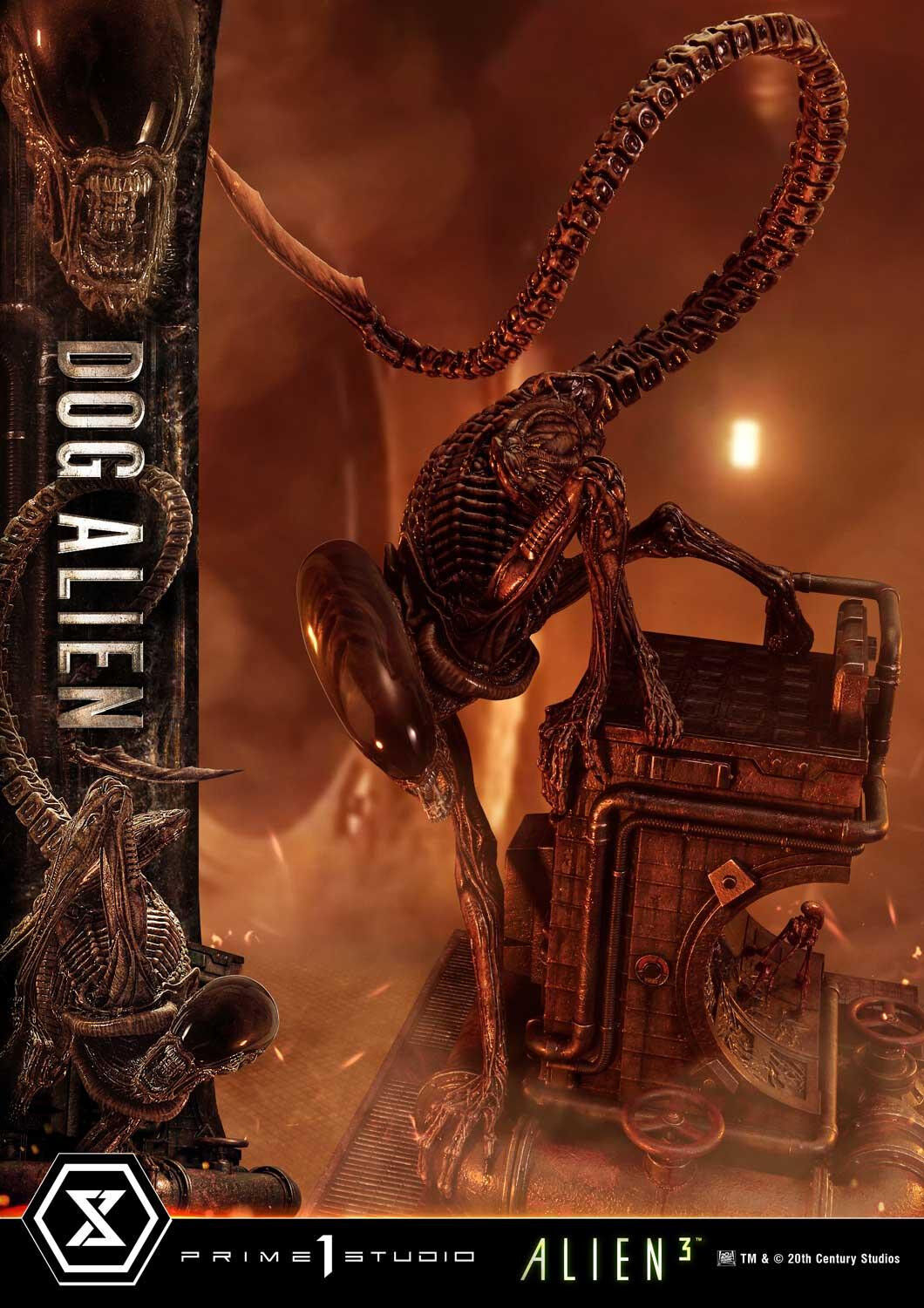 Alien 3 - Dog Alien - Museum Masterline XL  (MMXLAL-01DX) - 1/3 - DX Version (Prime 1 Studio) photo 60