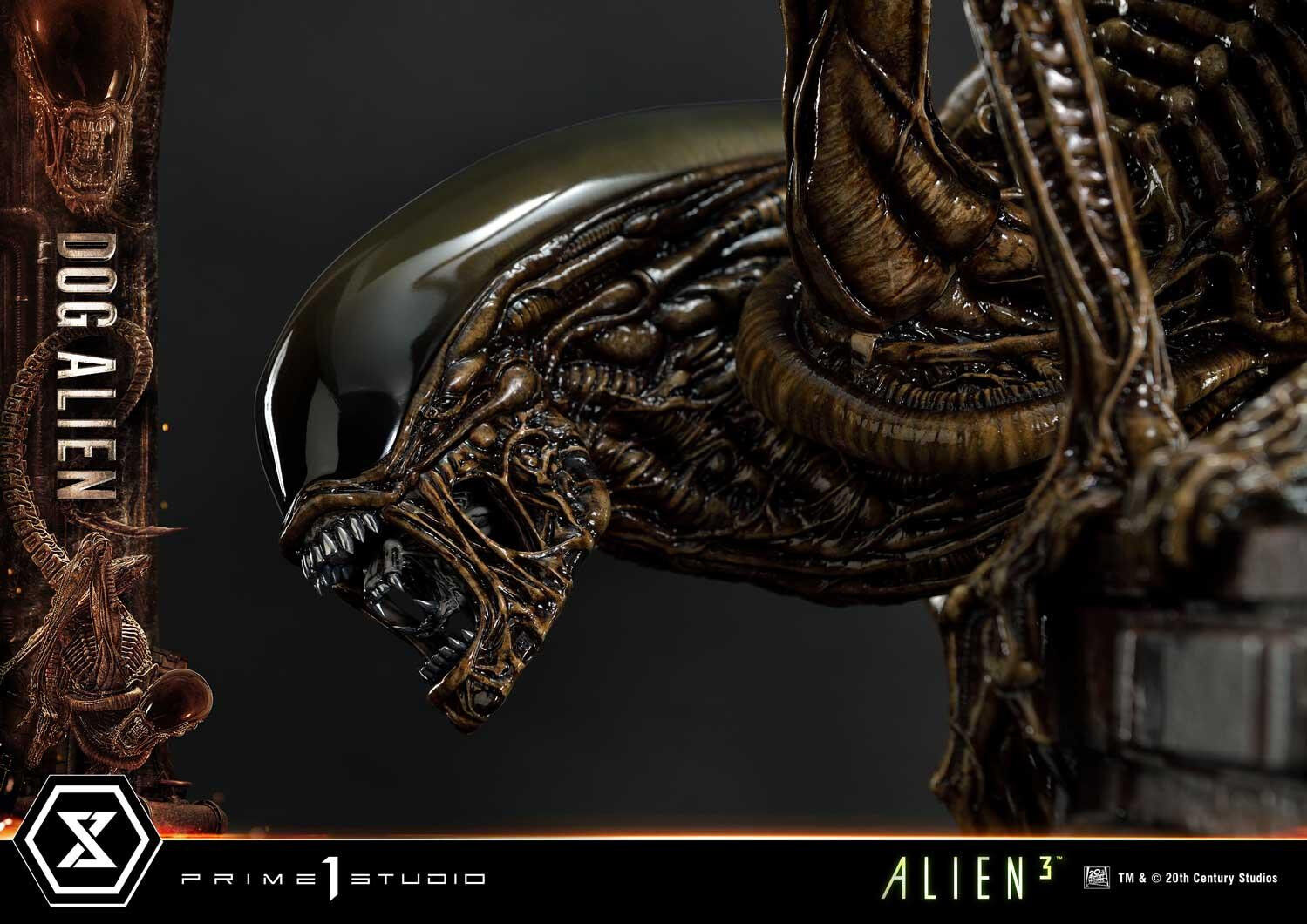 Alien 3 - Dog Alien - Museum Masterline XL  (MMXLAL-01DX) - 1/3 - DX Version (Prime 1 Studio) photo 63