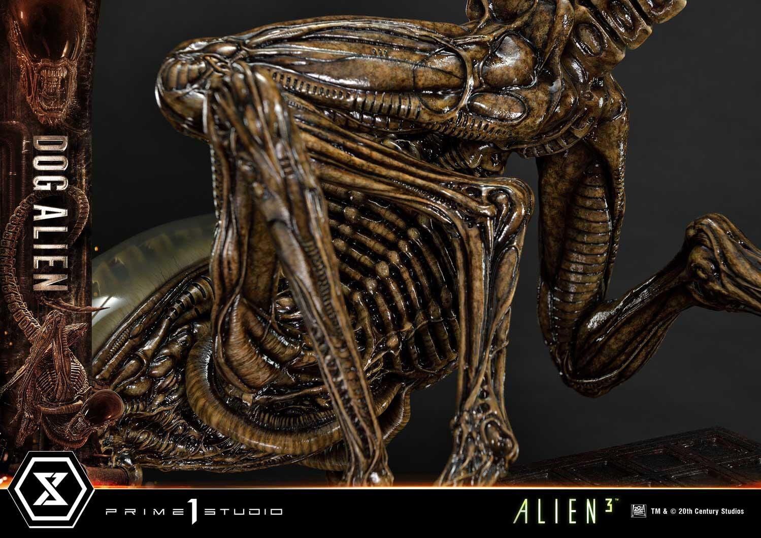 Alien 3 - Dog Alien - Museum Masterline XL  (MMXLAL-01DX) - 1/3 - DX Version (Prime 1 Studio) photo 77