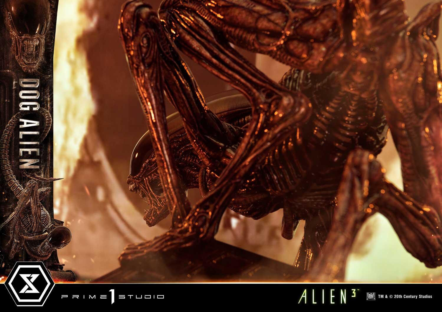 Alien 3 - Dog Alien - Museum Masterline XL  (MMXLAL-01DX) - 1/3 - DX Version (Prime 1 Studio) photo 80