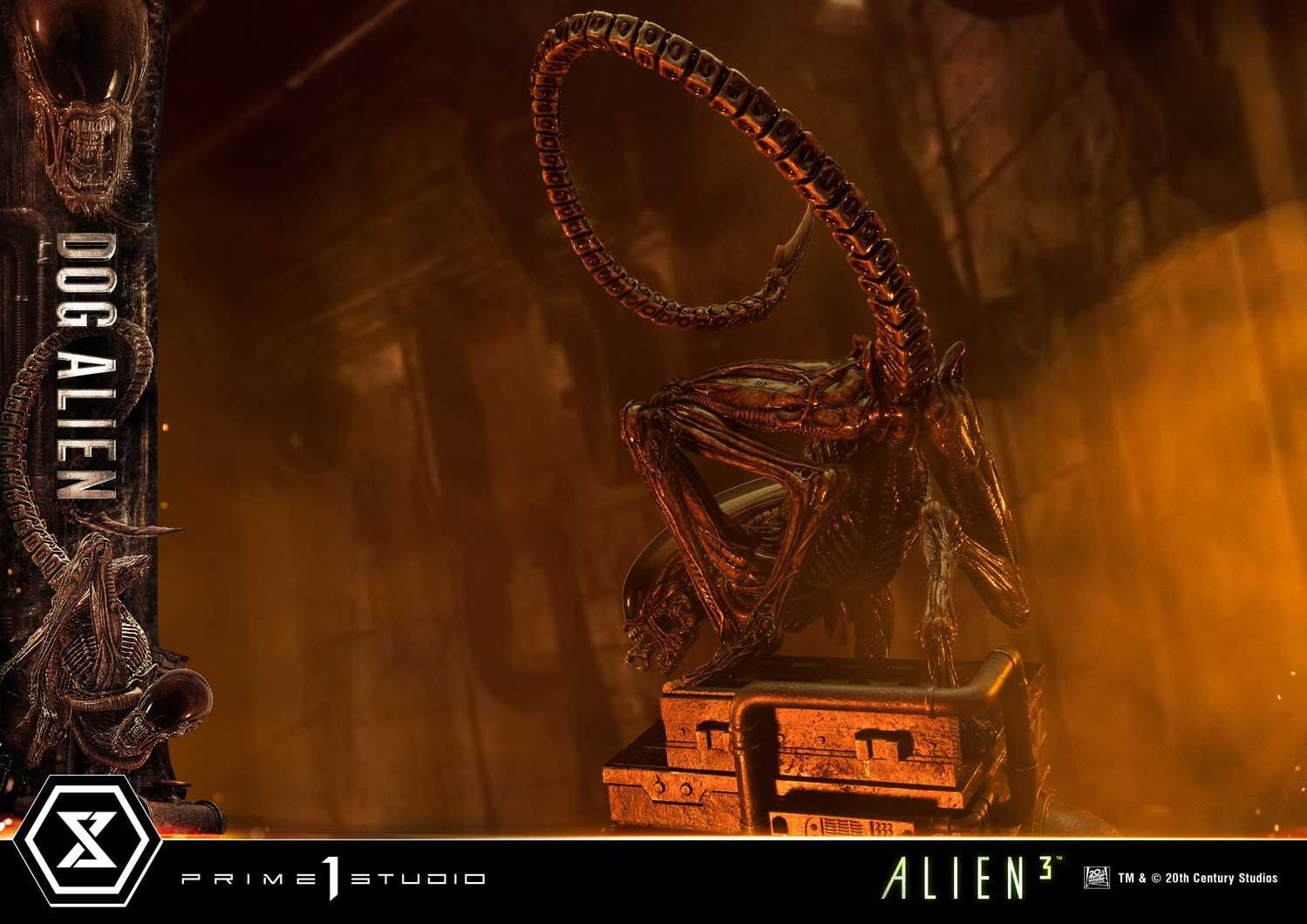Alien 3 - Dog Alien - Museum Masterline XL  (MMXLAL-01DX) - 1/3 - DX Version (Prime 1 Studio) photo 83