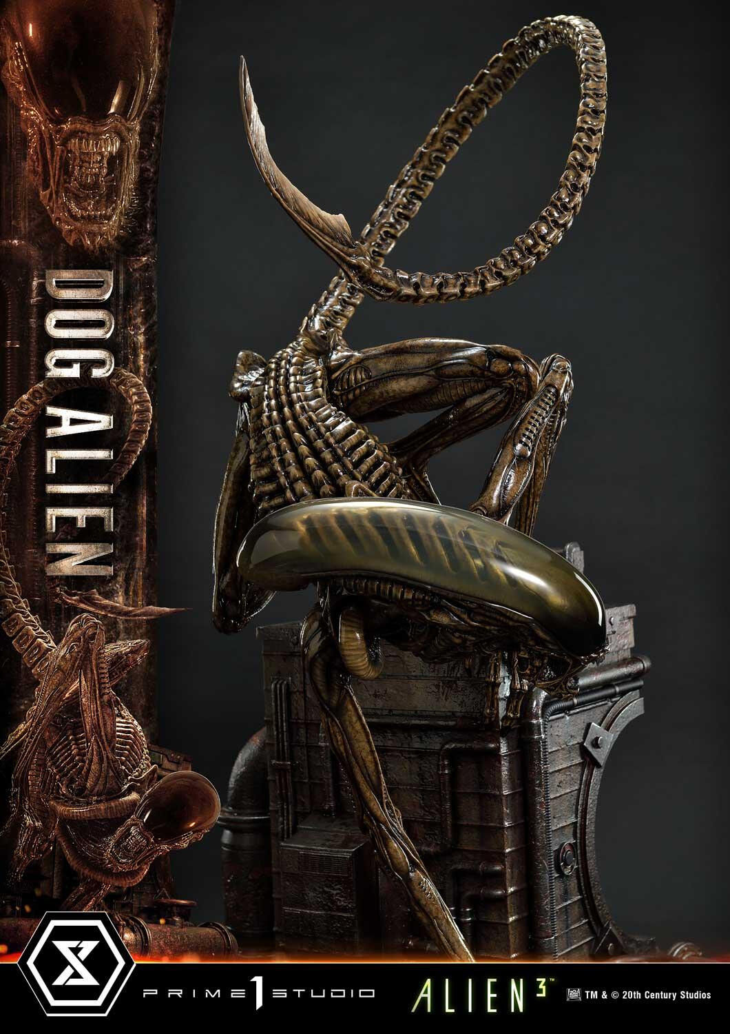 Alien 3 - Dog Alien - Museum Masterline XL  (MMXLAL-01DX) - 1/3 - DX Version (Prime 1 Studio) photo 84