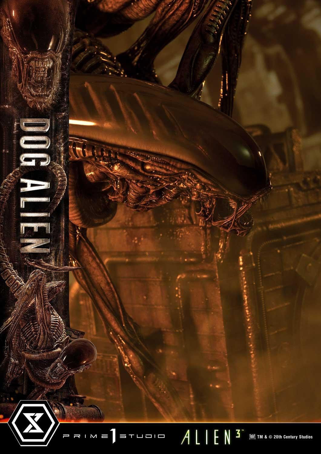 Alien 3 - Dog Alien - Queen Facehugger - Museum Masterline XL (MMXLAL-01DXS) - 1/3 - DX Bonus Version (Prime 1 Studio) photo 58