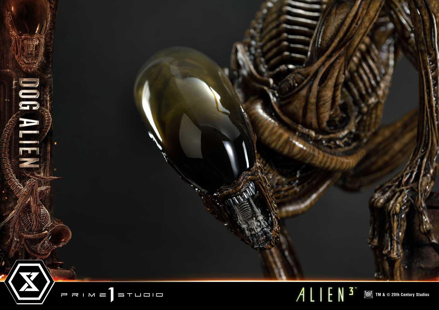 Alien 3 - Dog Alien - Queen Facehugger - Museum Masterline XL (MMXLAL-01DXS) - 1/3 - DX Bonus Version (Prime 1 Studio) photo 84