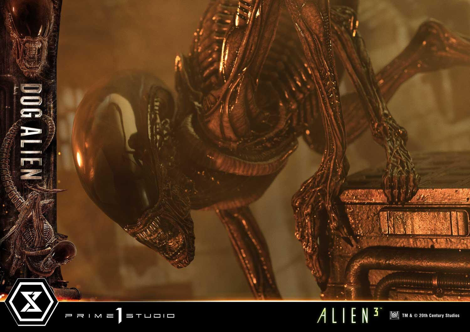 Alien 3 - Dog Alien - Queen Facehugger - Museum Masterline XL (MMXLAL-01DXS) - 1/3 - DX Bonus Version (Prime 1 Studio) photo 85