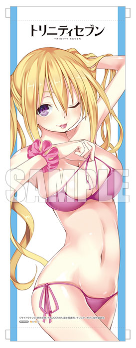 Trinity Seven: 7 Nin no Mahoutsukai - Lieselotte Sherlock - 1/8 - Swimsuit ver. (PLUM) photo 17