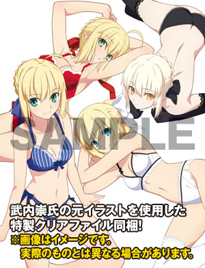 Fate/EXTRA - Fate/Stay Night - Altria Pendragon - Nero Claudius - DreamTech LingerieStyle Series - 1/8 (Wave) photo 6