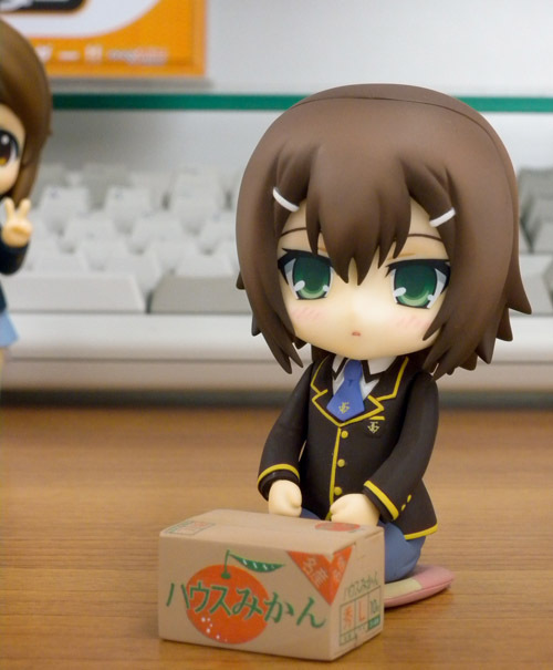 Baka to Test to Shoukanjuu - Kinoshita Hideyoshi - Kinoshita Hideyoshi no Shoukanjuu - Nendoroid  (#147) (Good Smile Company) photo 13