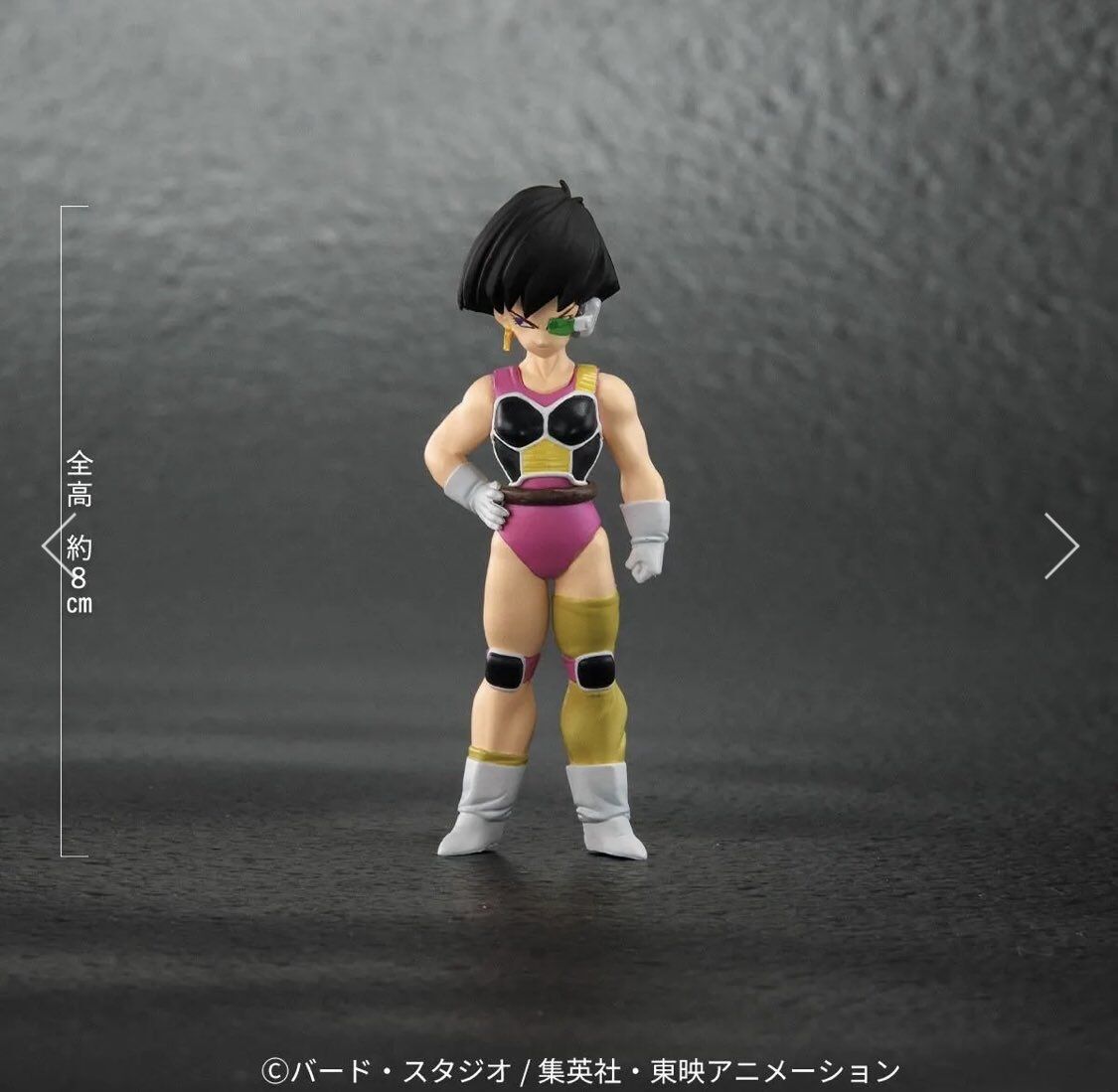 Dragon Ball Z Special Tatta Hitori no Saishuu Kessen ~Freezer ni Idonda Z Senshi Son Gokuu no Chichi~ - Oozaru Bardock - Dragon Ball Arise (Plex, Zeem) photo 2