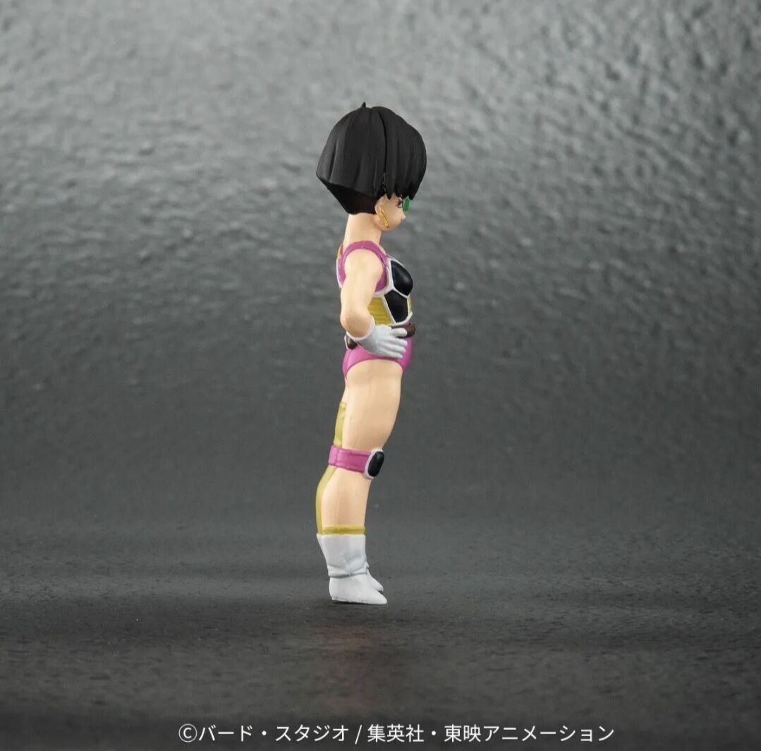 Dragon Ball Z Special Tatta Hitori no Saishuu Kessen ~Freezer ni Idonda Z Senshi Son Gokuu no Chichi~ - Oozaru Bardock - Dragon Ball Arise (Plex, Zeem) photo 10