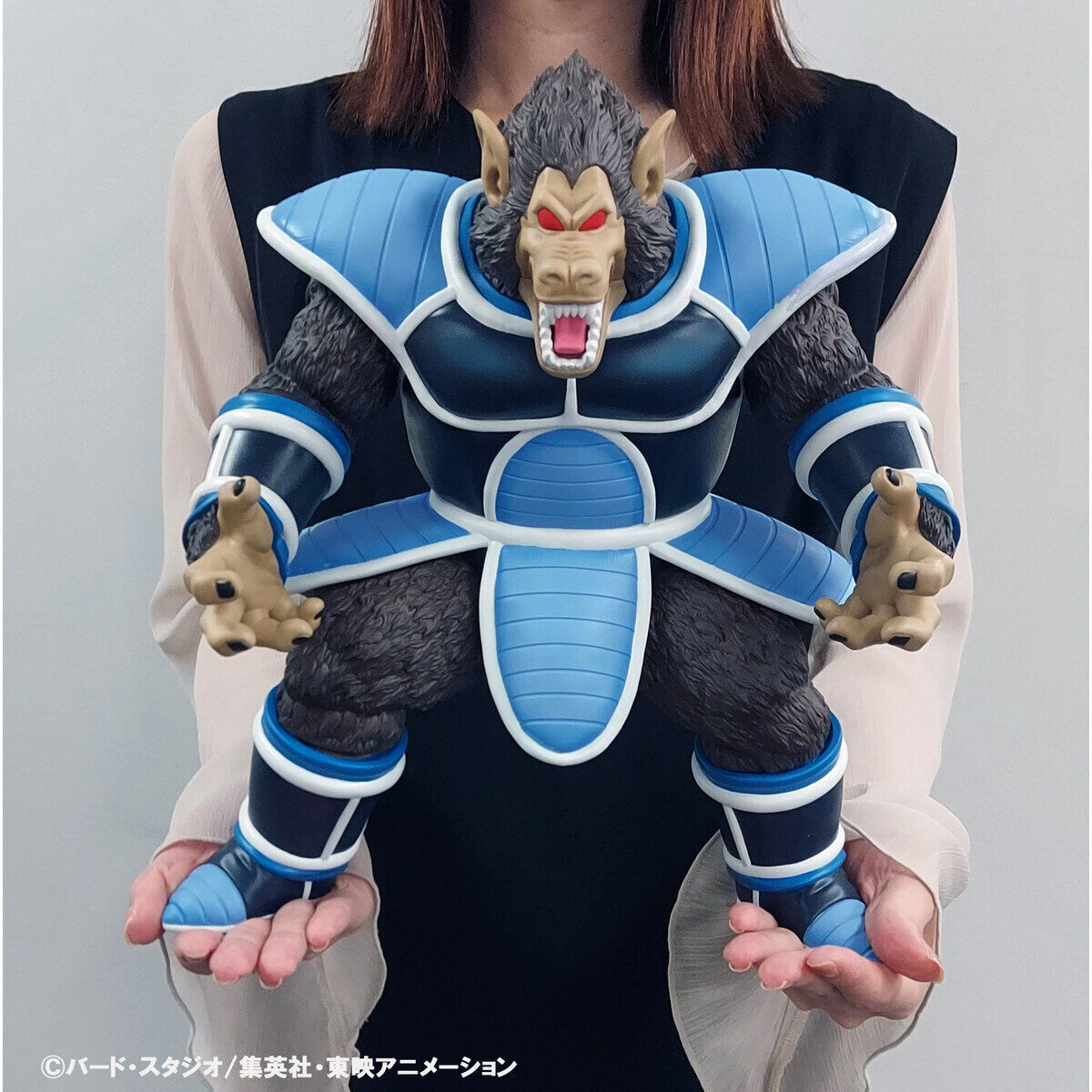 Dragon Ball Z Special Tatta Hitori no Saishuu Kessen ~Freezer ni Idonda Z Senshi Son Gokuu no Chichi~ - Oozaru Toma - Dragon Ball Arise (Plex, Zeem) photo 2