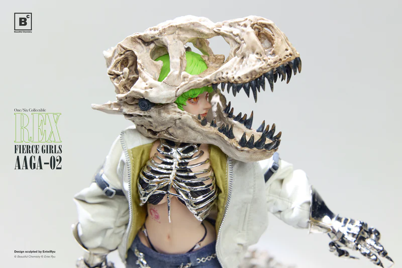 Original - Fierce Girls  (AAGA-02) - Mercenary Gunner Rex - 1/6 (Underverse)