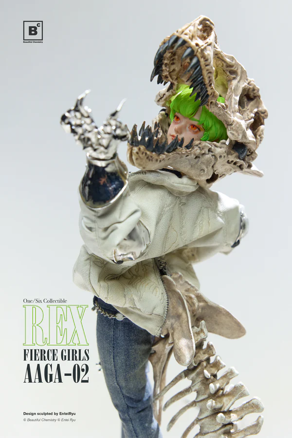 Original - Fierce Girls  (AAGA-02) - Mercenary Gunner Rex - 1/6 (Underverse)