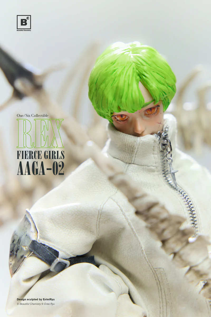 Original - Fierce Girls  (AAGA-02) - Mercenary Gunner Rex - 1/6 (Underverse)