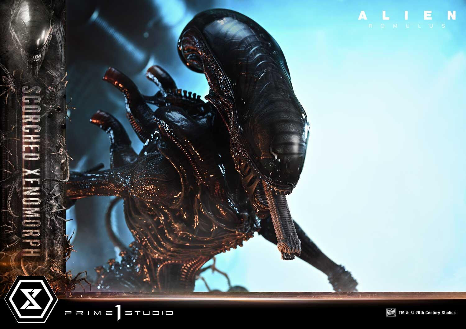 Alien: Romulus - Facehugger - Scorched Alien - Museum Masterline XL (MMXLAL-02DX) - 1/3 - DX Version (Prime 1 Studio) photo 10