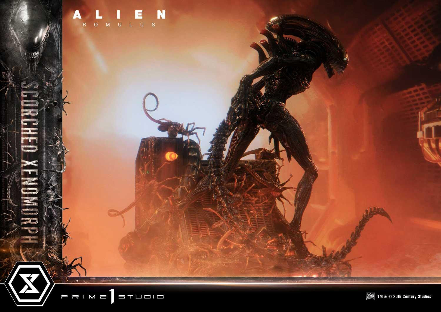 Alien: Romulus - Facehugger - Scorched Alien - Museum Masterline XL (MMXLAL-02DX) - 1/3 - DX Version (Prime 1 Studio) photo 14