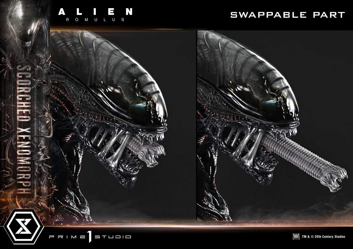 Alien: Romulus - Facehugger - Scorched Alien - Museum Masterline XL (MMXLAL-02DX) - 1/3 - DX Version (Prime 1 Studio) photo 64