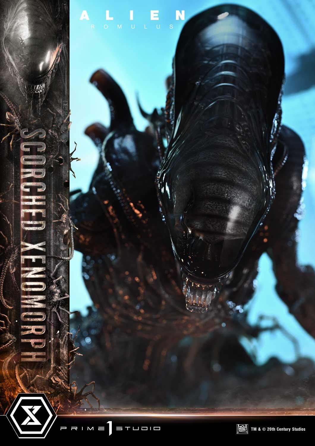 Alien: Romulus - Facehugger - Scorched Alien - Museum Masterline XL (MMXLAL-02DX) - 1/3 - DX Version (Prime 1 Studio) photo 83